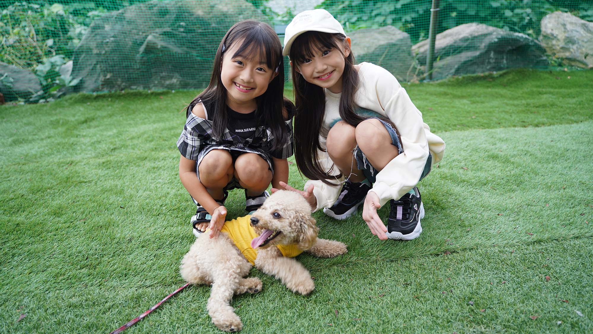 ・【ドームテントE】テントの中でも外でも、愛犬と一緒！