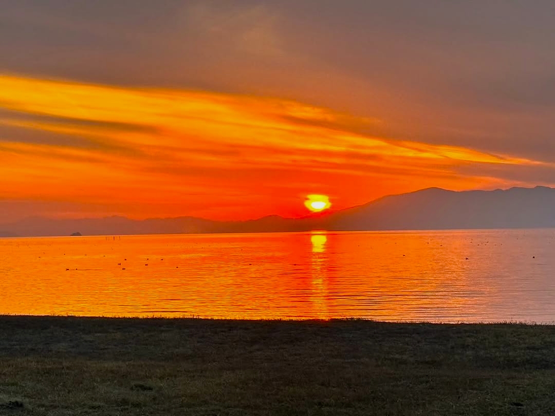 琵琶湖湖畔電車車両宿泊:テールランプ