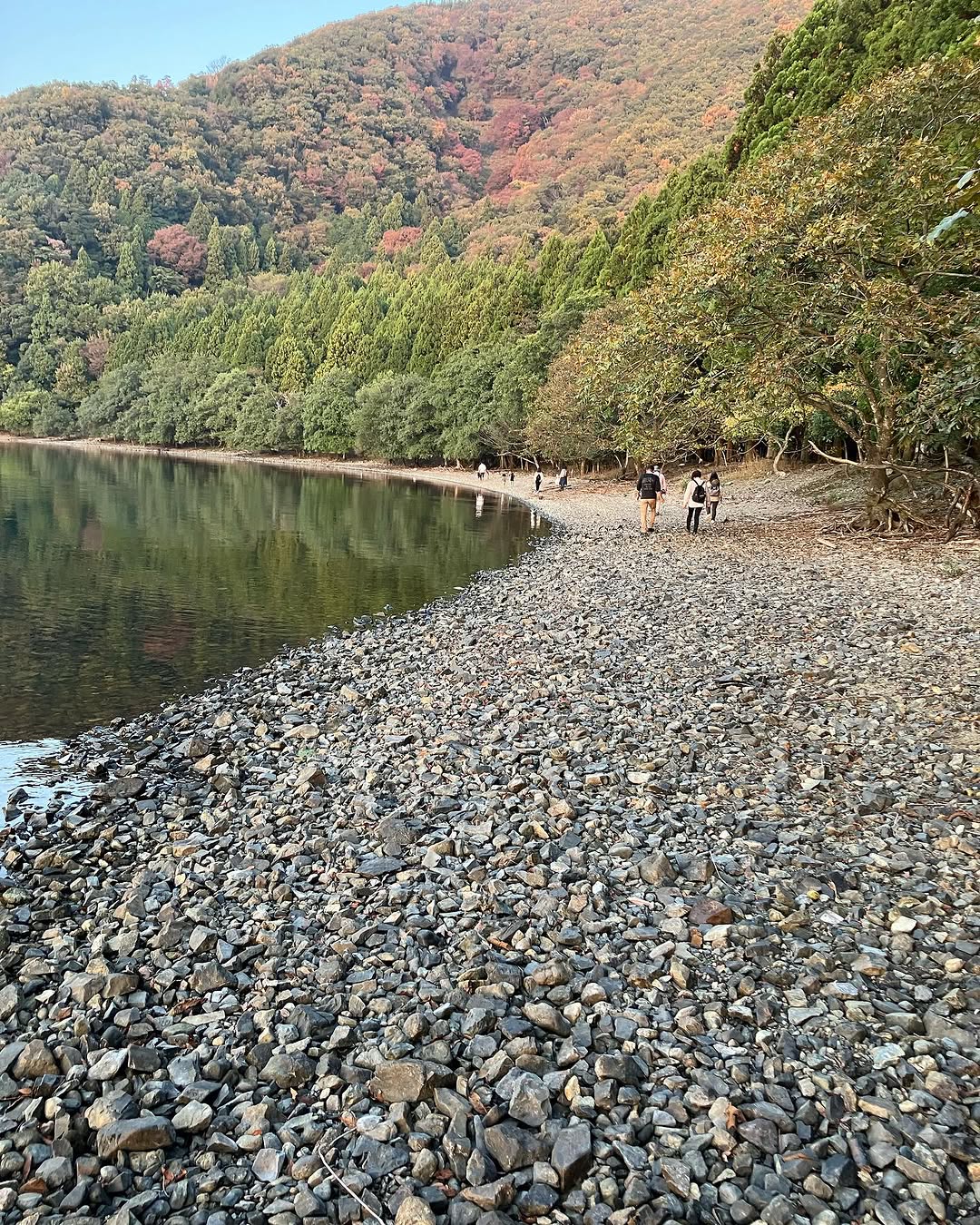 湖桑庵秋の湖岸散策