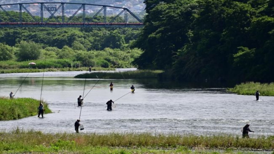 相模川は全国有数の鮎釣りのポイント