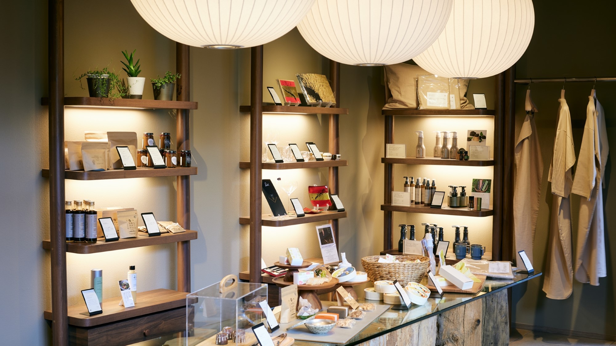 【一人旅】1泊2食付 陽光の風がお贈りする新たな日本料理レイトタイム20：30｜2026年2月1日〜