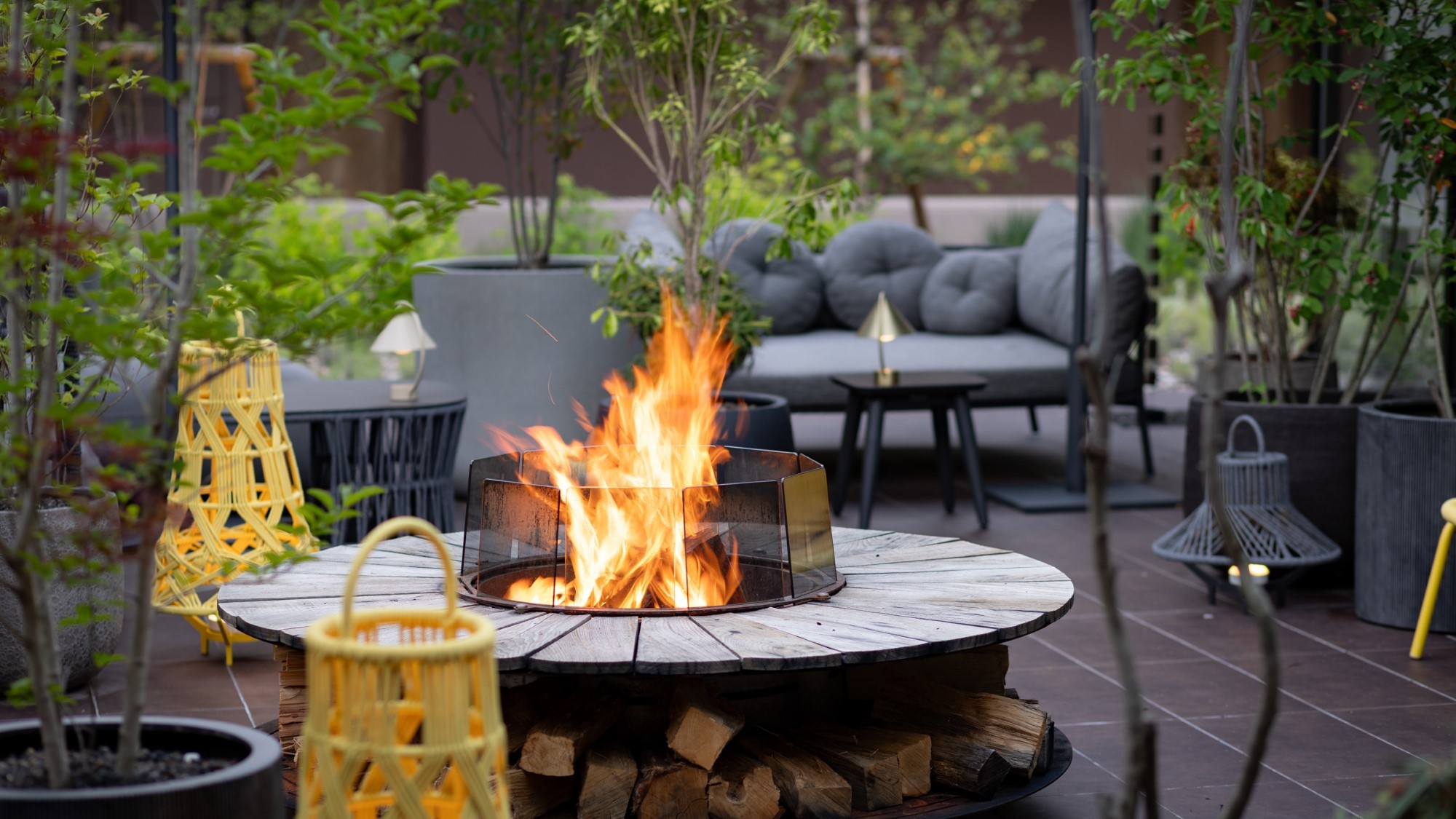 【一人旅】1泊2食付 陽光の風がお贈りする新たな日本料理｜2026年2月1日〜