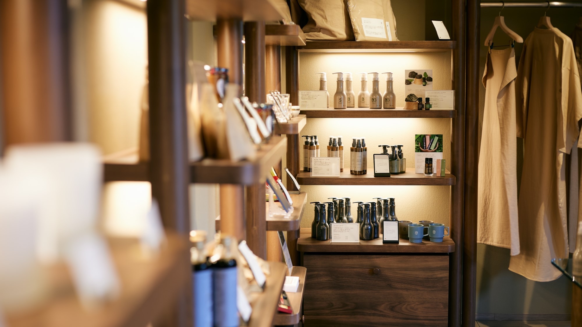 【一人旅】1泊2食付 陽光の風がお贈りする新たな日本料理｜2026年2月1日〜