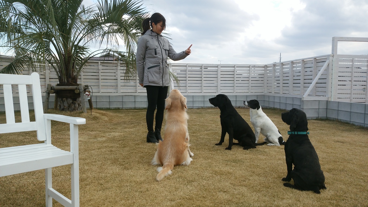 【ペットと泊まれる宿】1棟貸し切り 【ワンちゃん しつけ教室付き 2泊プラン】（2〜6名様）