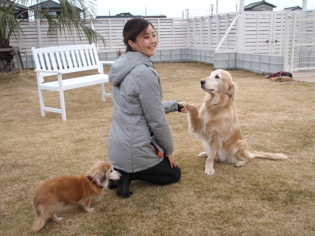 【ペットと泊まれる宿】1棟貸し切り 【ワンちゃん しつけ教室付き 2泊プラン】（2〜6名様）