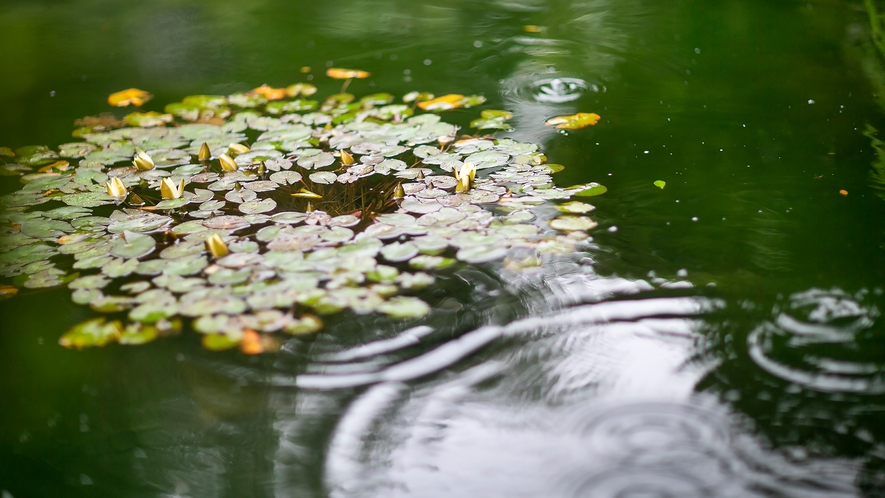 「雨の日の旅」も。ひと味違う粋な時間です。