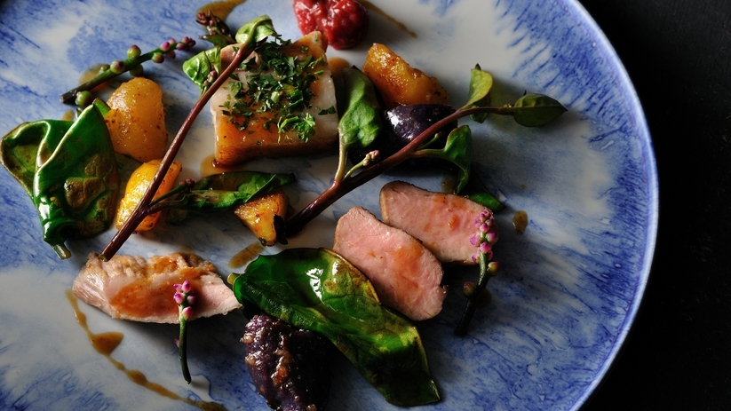 【2食付き】ENOWA Standard Stay｜畑から始まる、命を味わう。ファームドリブン体験