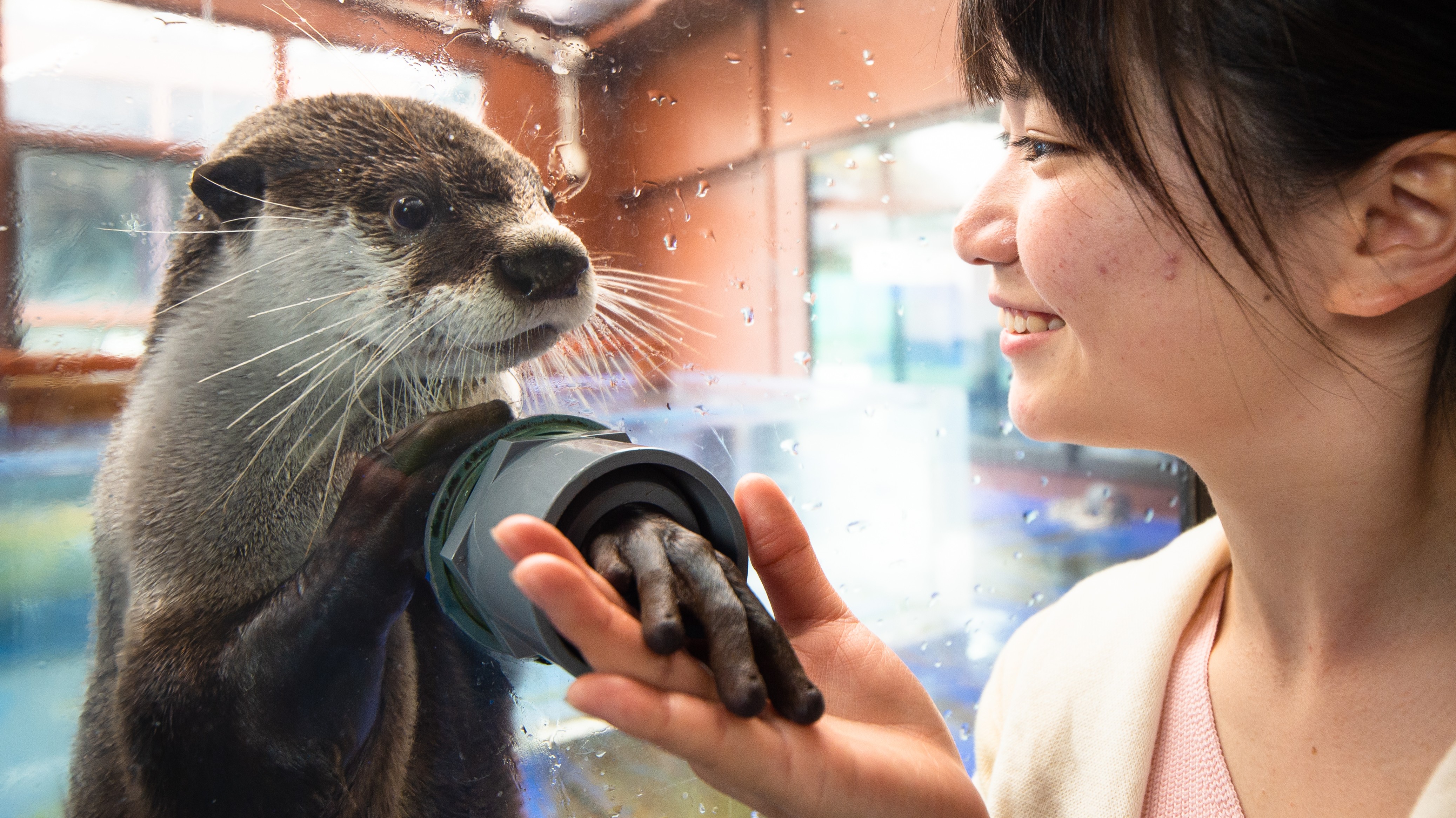 ゼロ距離水族館伊勢シーパラダイス