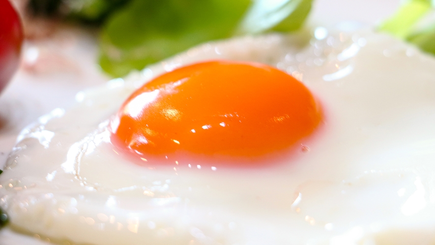 #朝ごはん　藤原養鶏場の卵は絶品です♪
