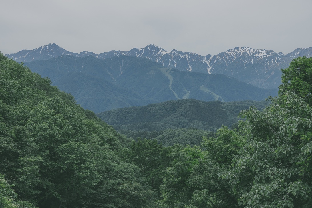 【ひとり旅】【1泊素泊まり】ひとりだから描ける“私だけの色”旅