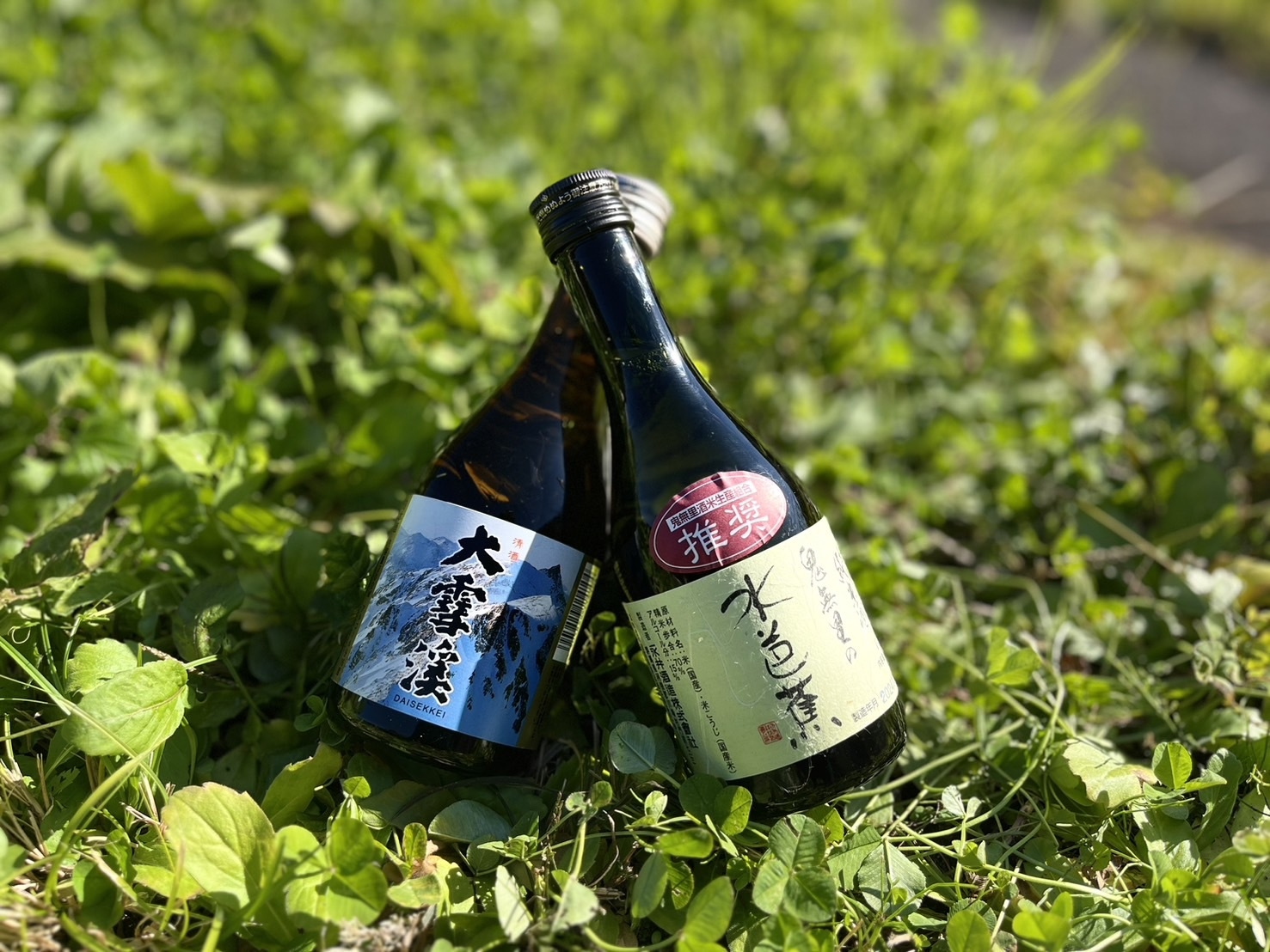 【シニア】【信州鬼無里御膳】おすすめ地酒プレゼント！冬色に染まる鬼無里を愉しむ旅【1泊2食】