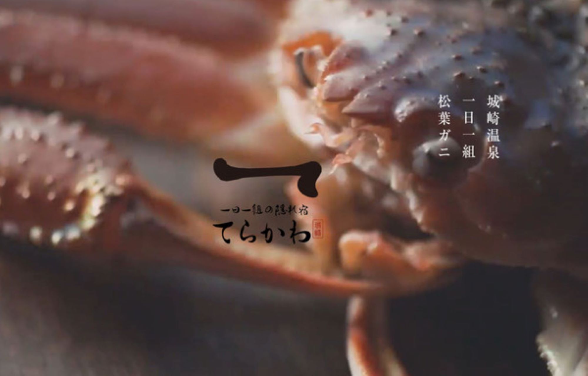一日一組の隠れ宿 てらかわ