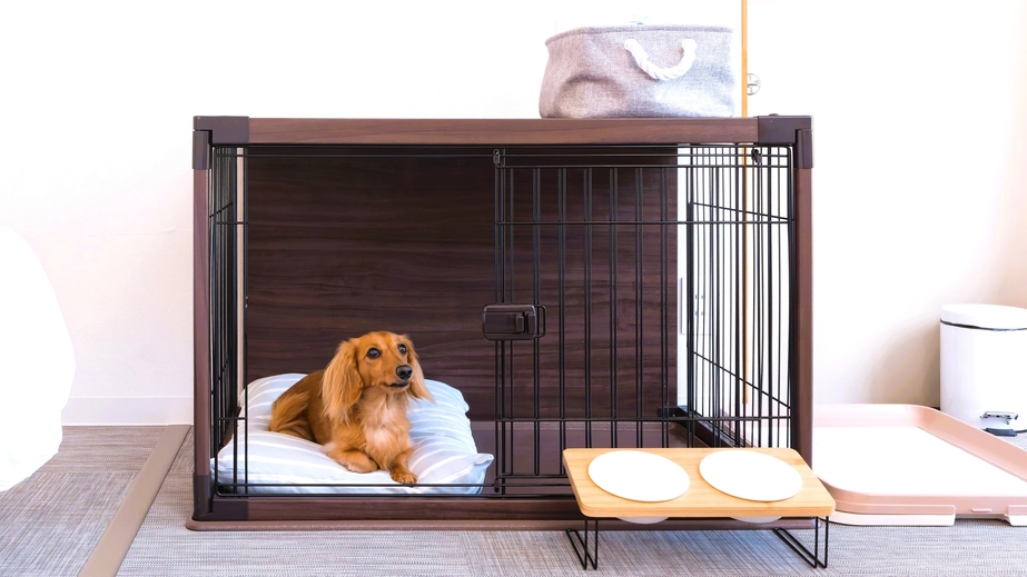 【ペット同伴OK・素泊まり】自由に過ごせるシンプルステイ