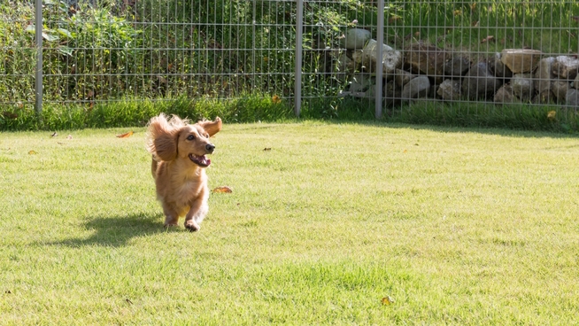 【ペット同伴OK・素泊まり】自由に過ごせるシンプルステイ