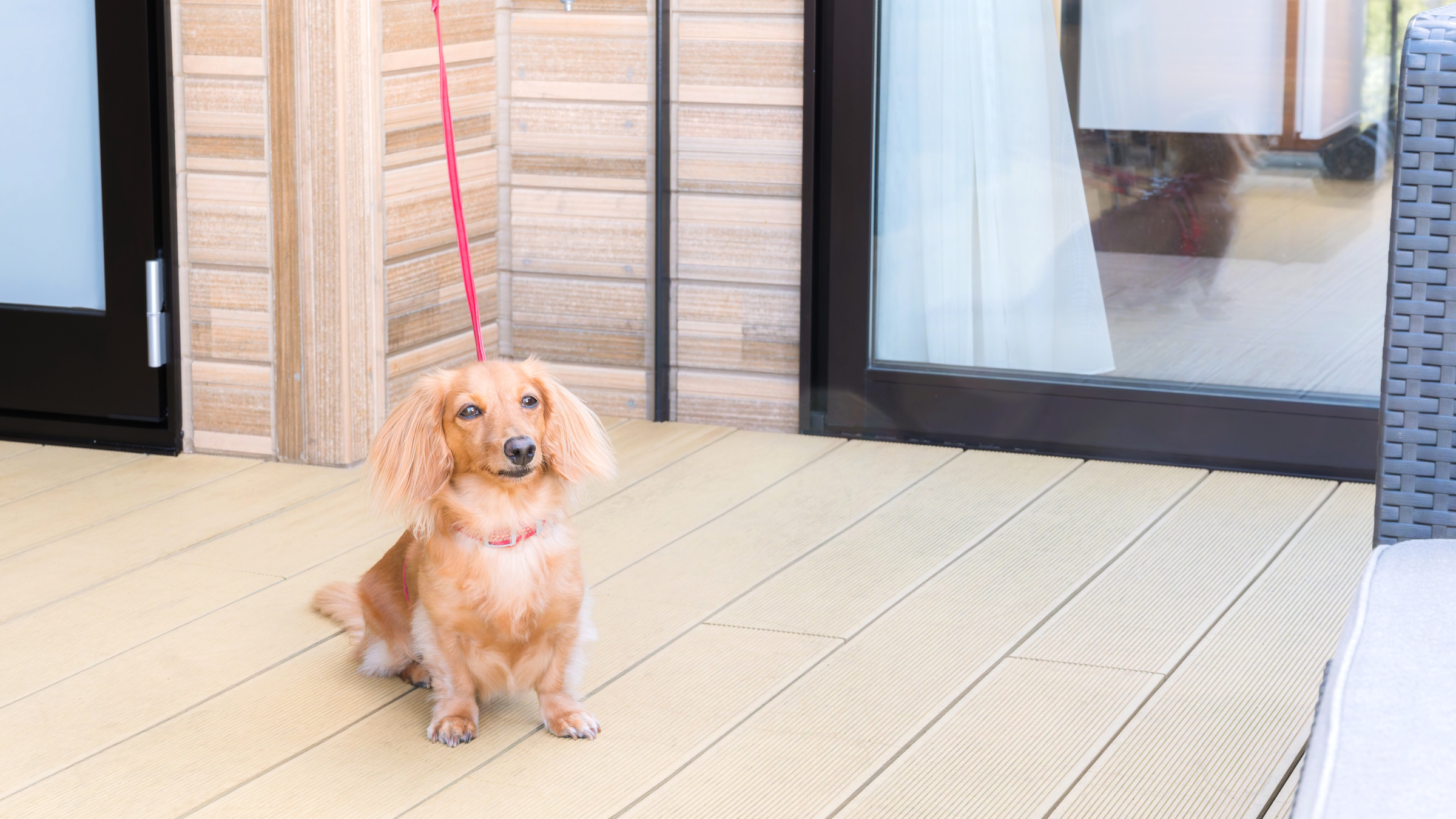 ワンちゃんご滞在イメージ