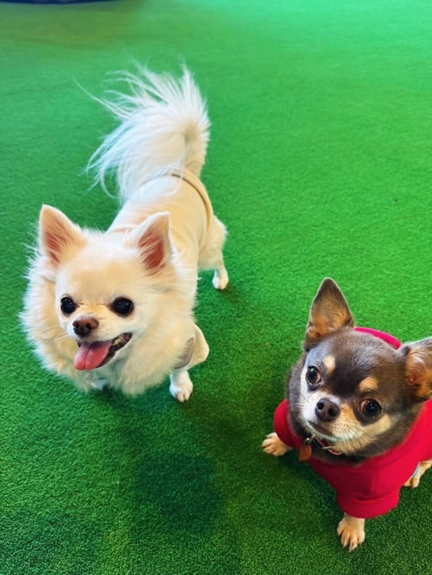 【ご宿泊のお客さま】ゆりあちゃん&凛ちゃん