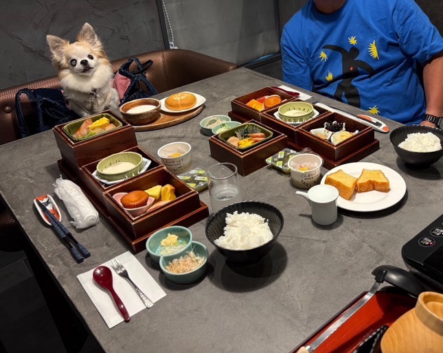 【ご宿泊のお客さま】ベルルちゃん。朝食もわんちゃんと一緒