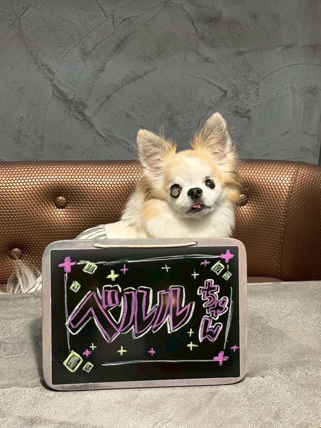 【ご宿泊のお客さま】ベルルちゃん