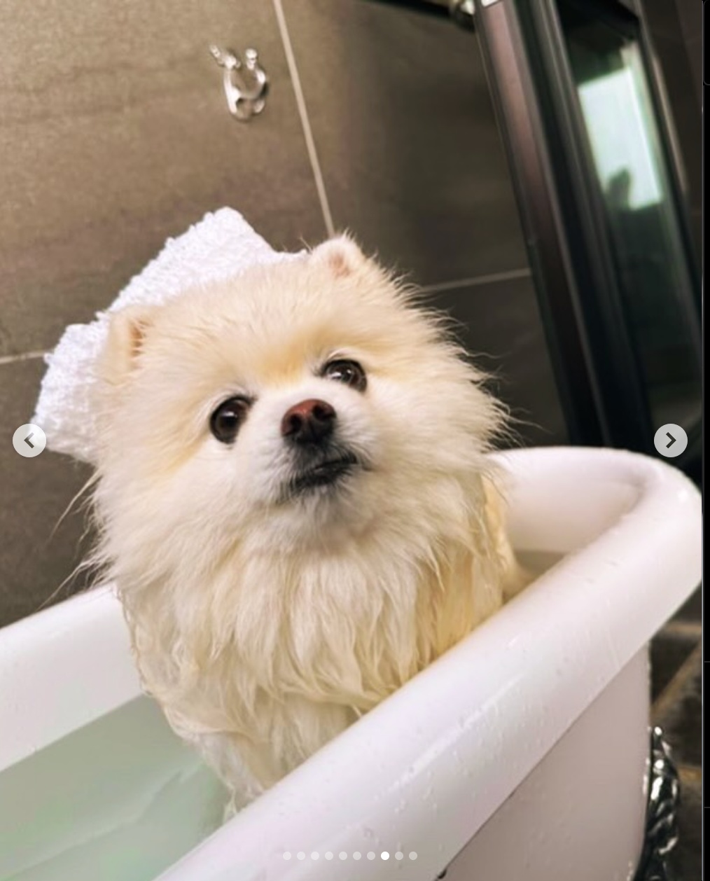 【2025年5月18日ご宿泊のお客さま】ぽん吉ちゃん