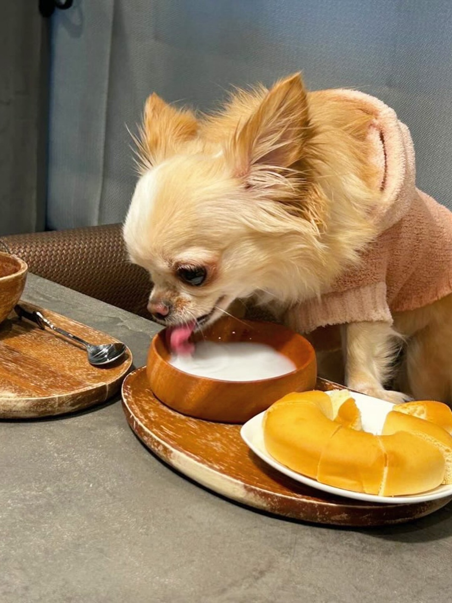 【ご宿泊のお客さま】あおちゃん。