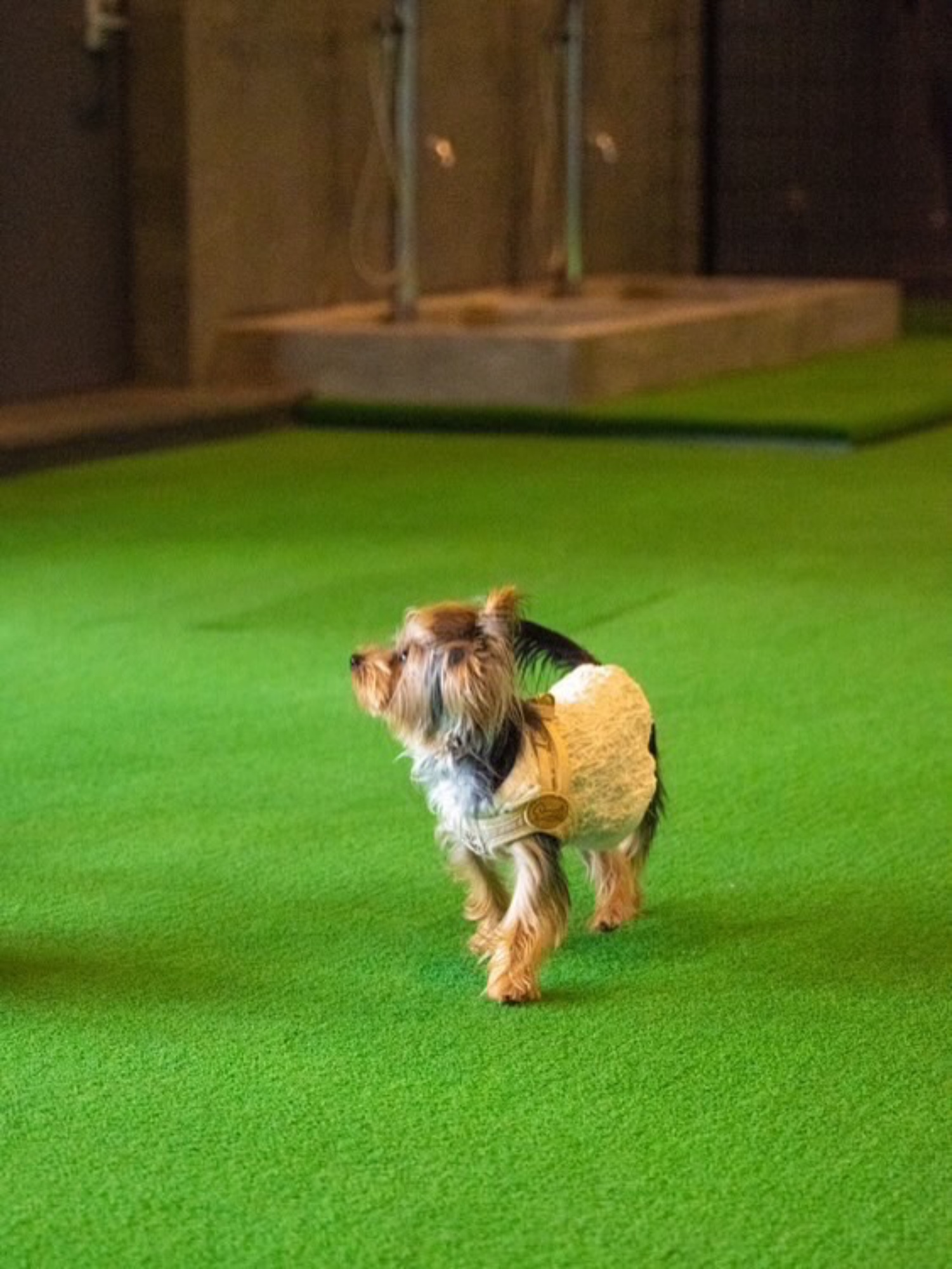 【ご宿泊のお客さま】芽衣(めい)ちゃん