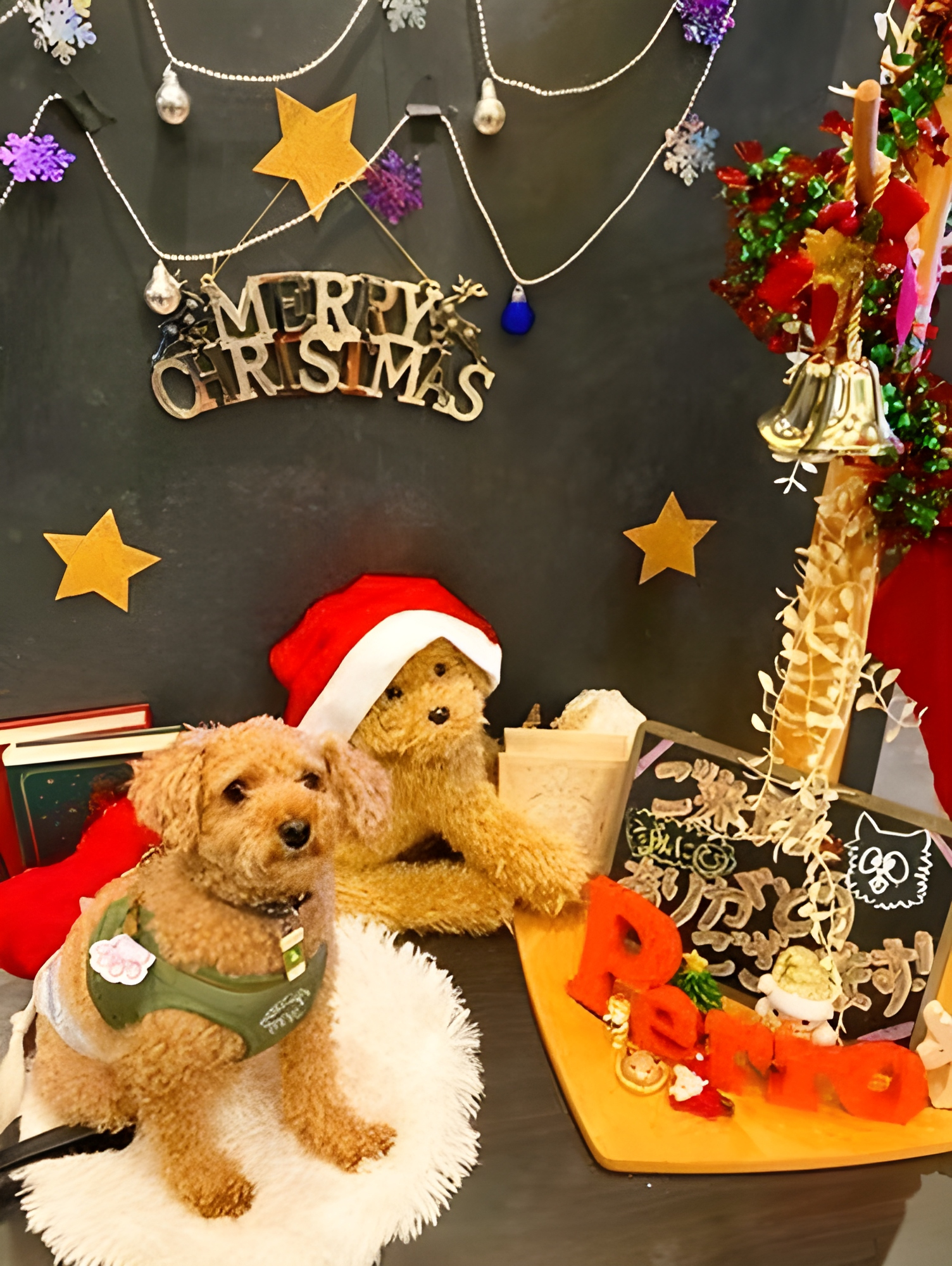 【ご宿泊のお客さま】ププちゃん