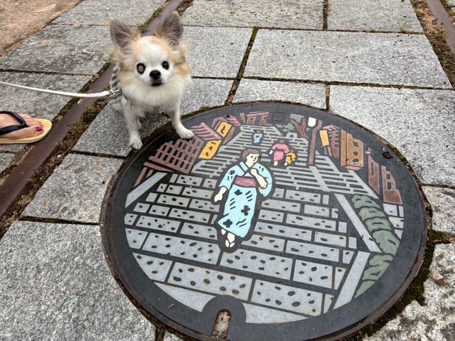 【ご宿泊のお客さま】ベルルちゃん。わんちゃんと行ける周辺観光施設も増えて来ました