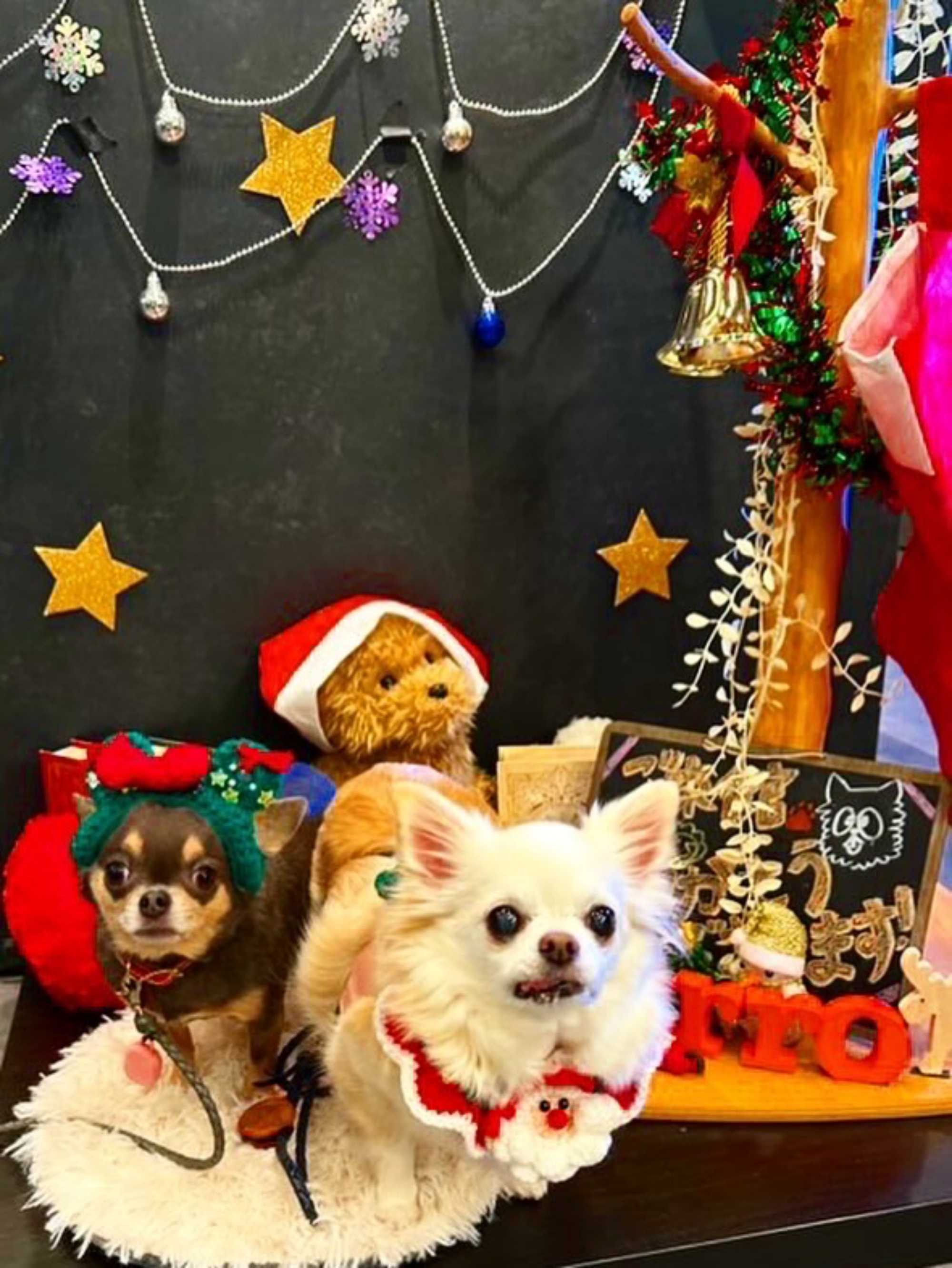 【ご宿泊のお客さま】ゆりあちゃん&凛ちゃん