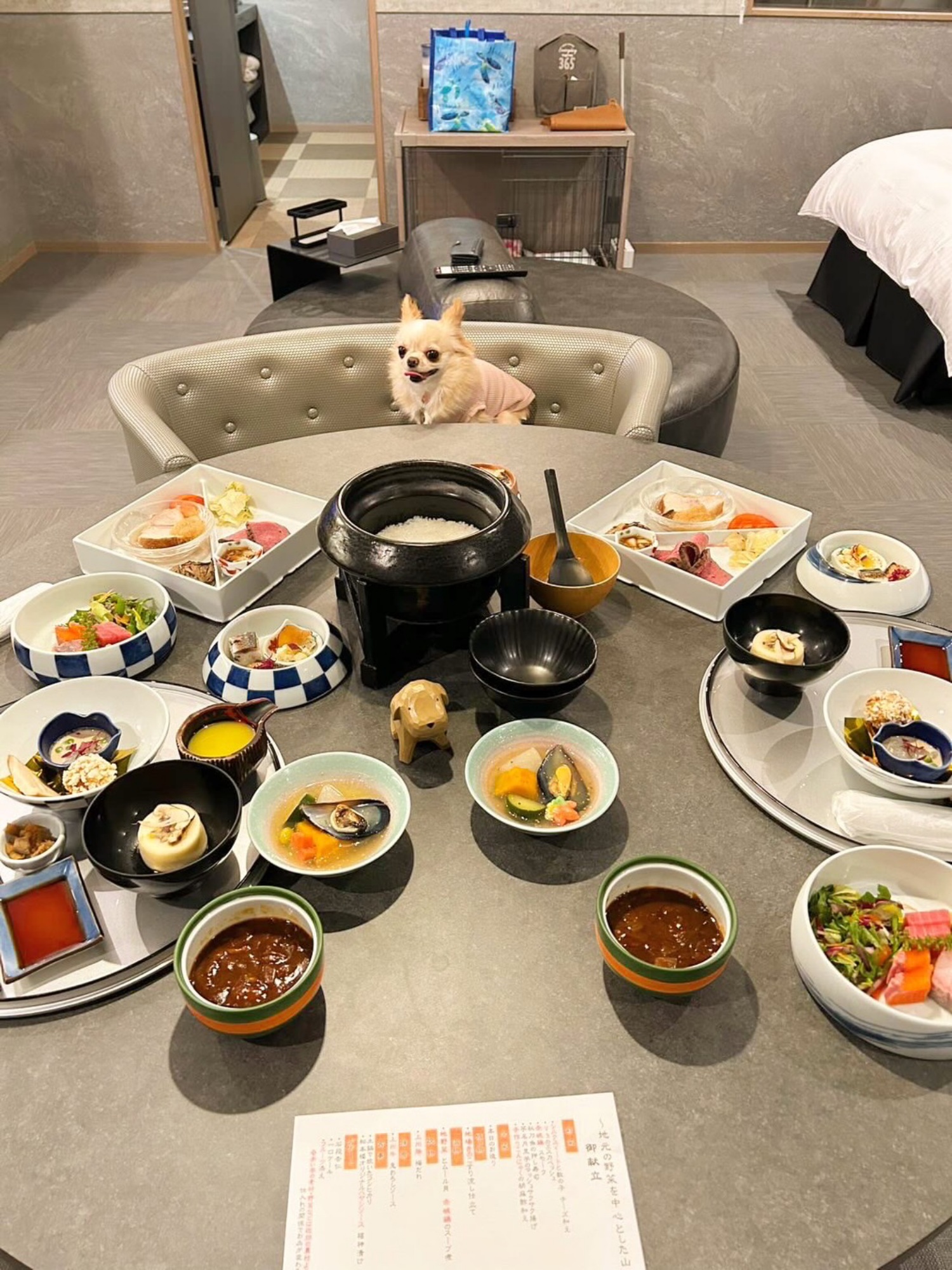 【ご宿泊のお客さま】あおちゃん。