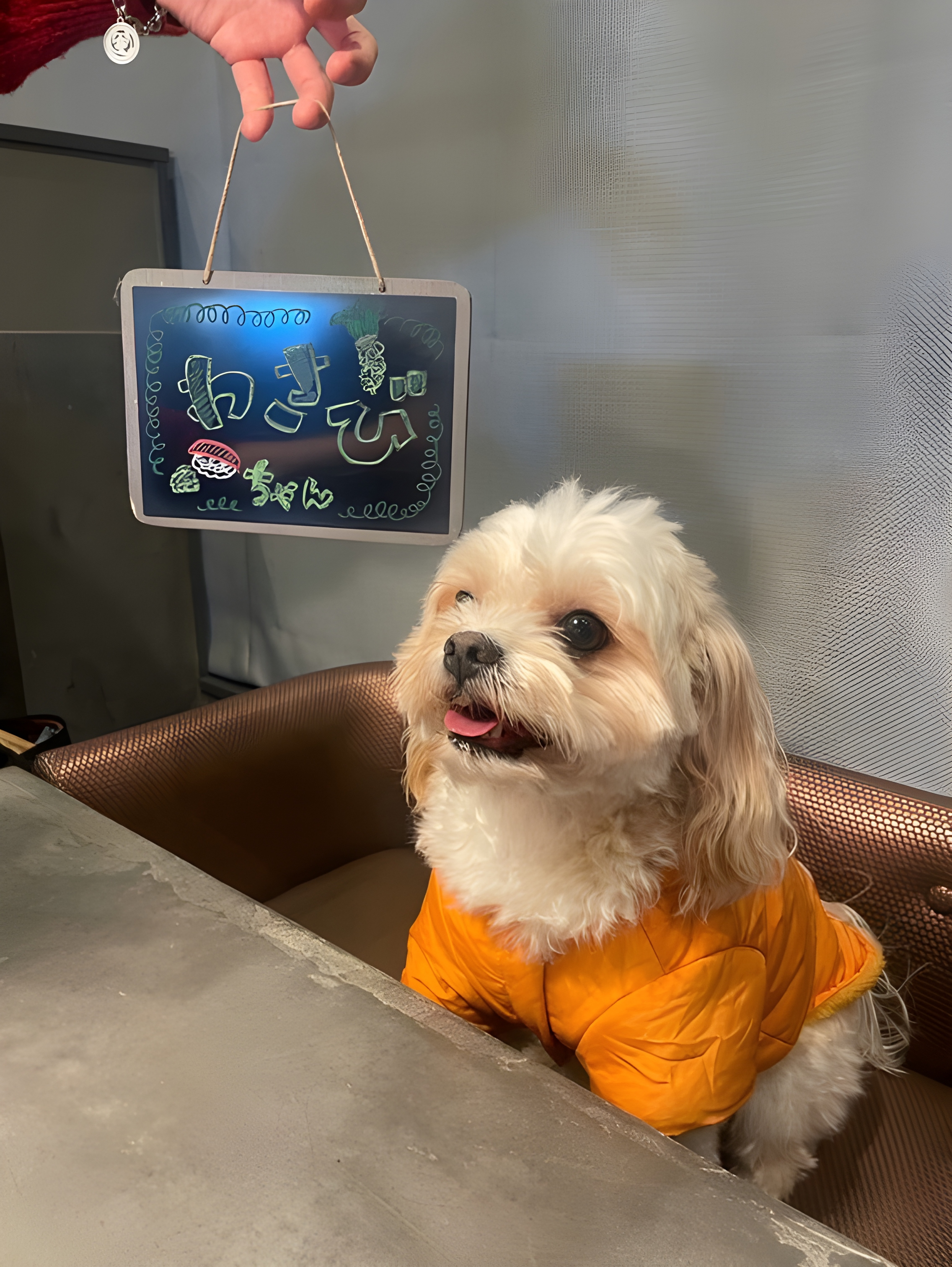 【ご宿泊のお客さま】わさびちゃん。スタッフ手描きのお名前は一人ひとりの個性あふれる一点ものです