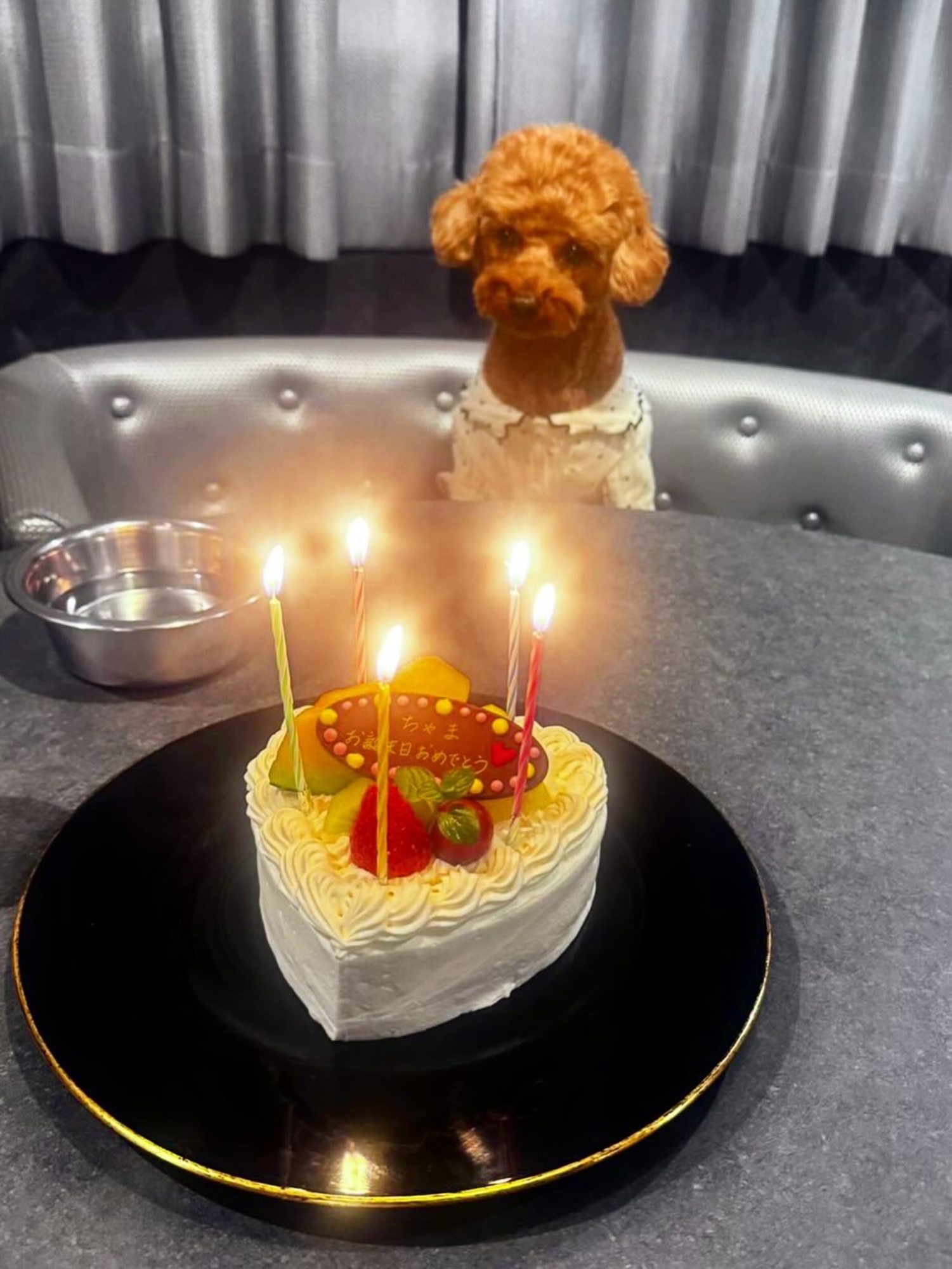 【ご宿泊のお客さま】ちゃまちゃん