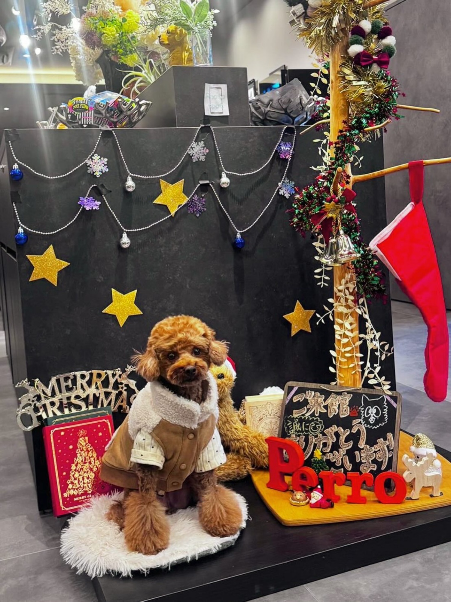 【ご宿泊のお客さま】ちゃまちゃん