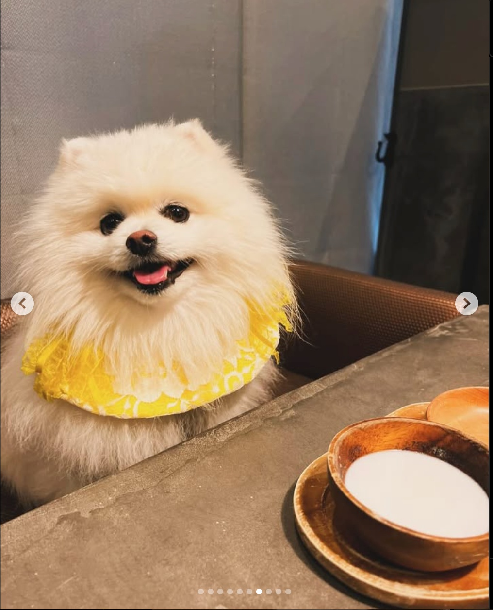 【2025年5月18日ご宿泊のお客さま】ぽん吉ちゃん