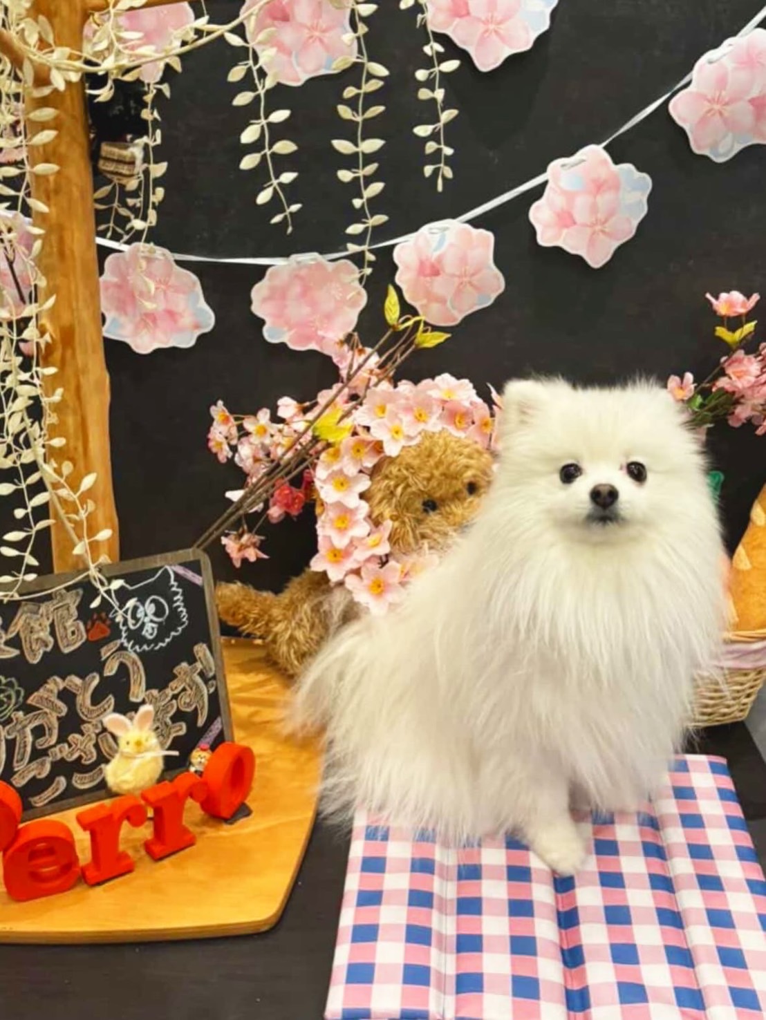 【ご宿泊のお客さま】さとるちゃん