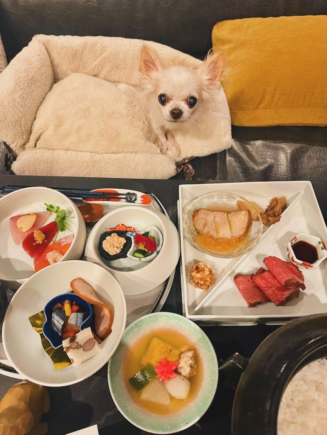 【ご宿泊のお客さま】エルメちゃん