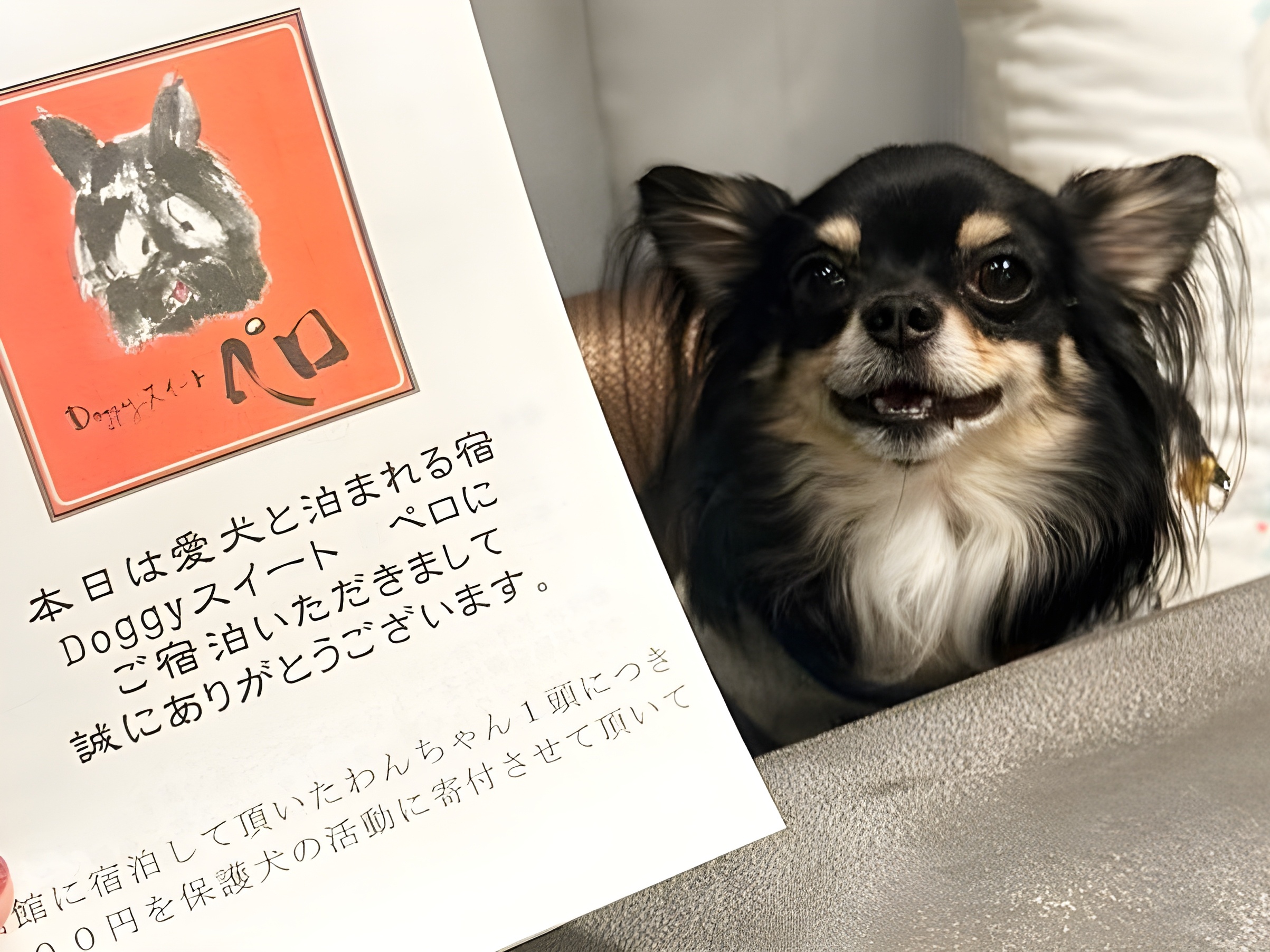 【ご宿泊のお客さま】小太郎ちゃん