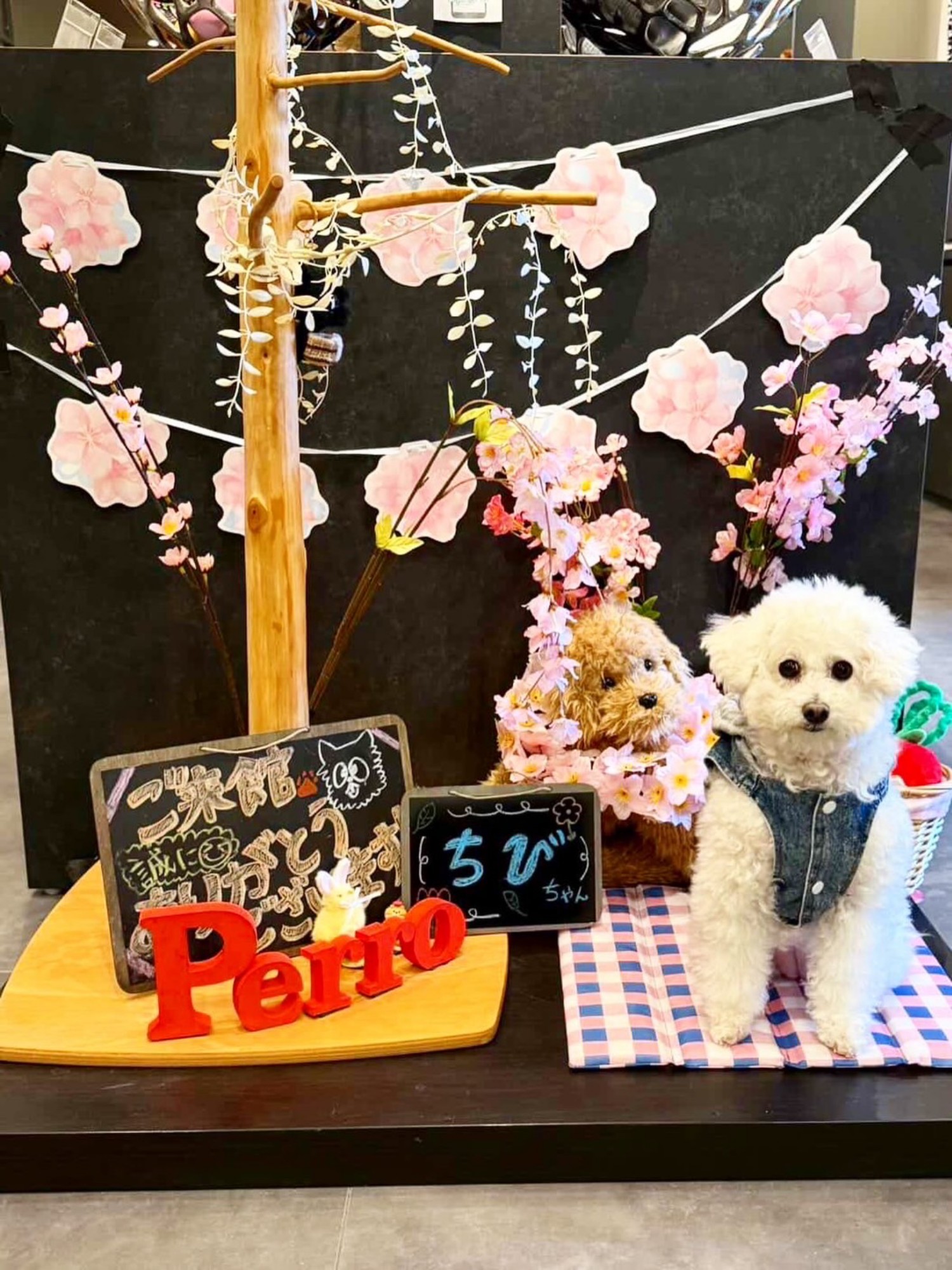 【ご宿泊のお客さま】ちびちゃん。お名前プレートも一緒に撮ってくださりありがとうございます