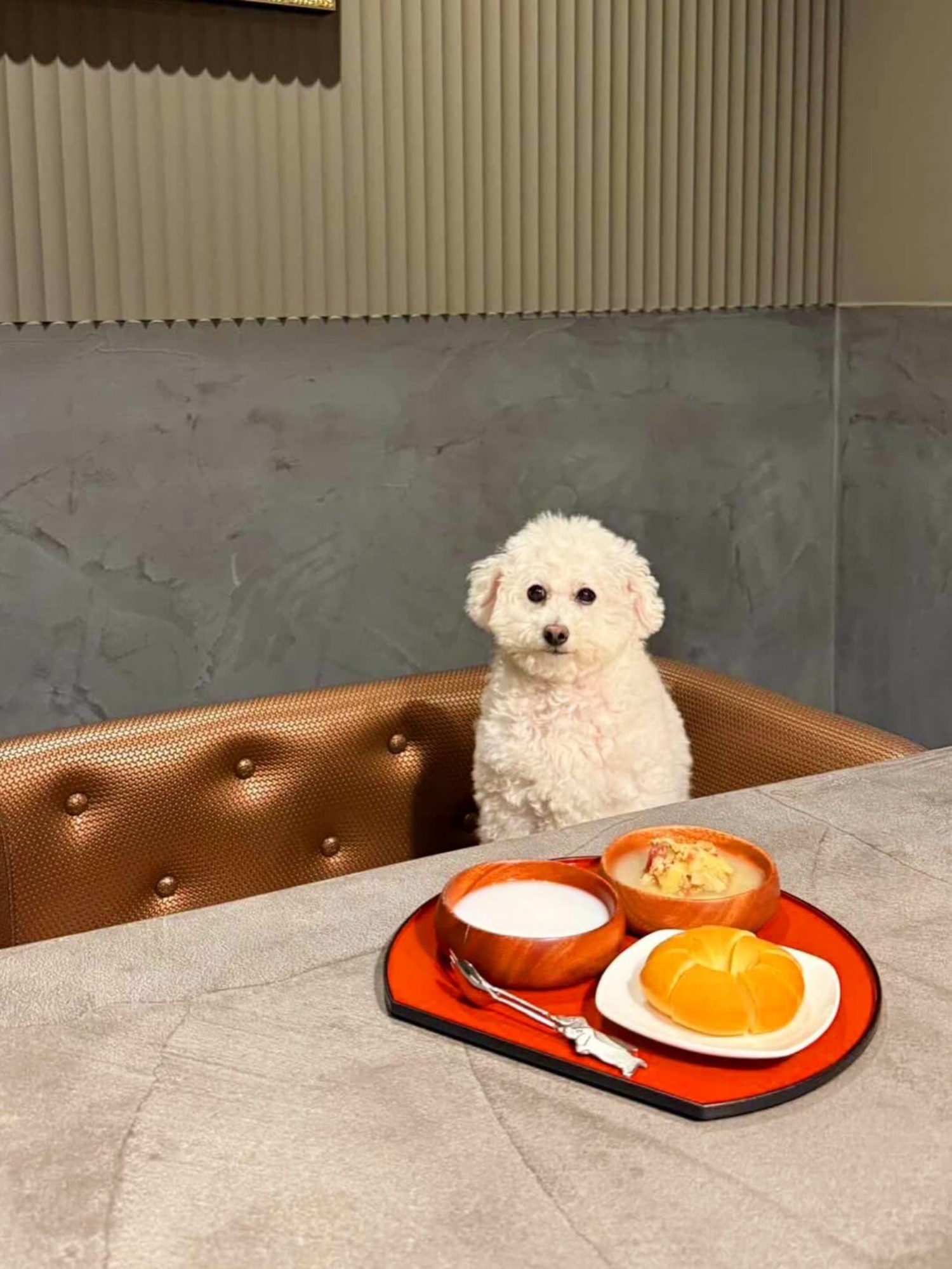 【ご宿泊のお客さま】ちびちゃん。ヤギミルクパンセットとパシャリ！絵画みたい