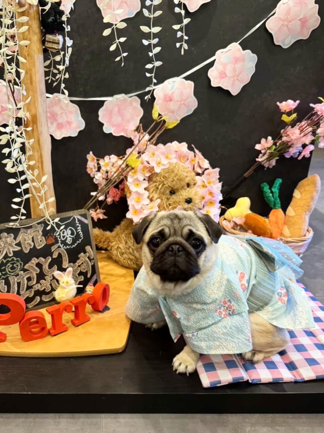 【ご宿泊のお客さま】るるちゃん