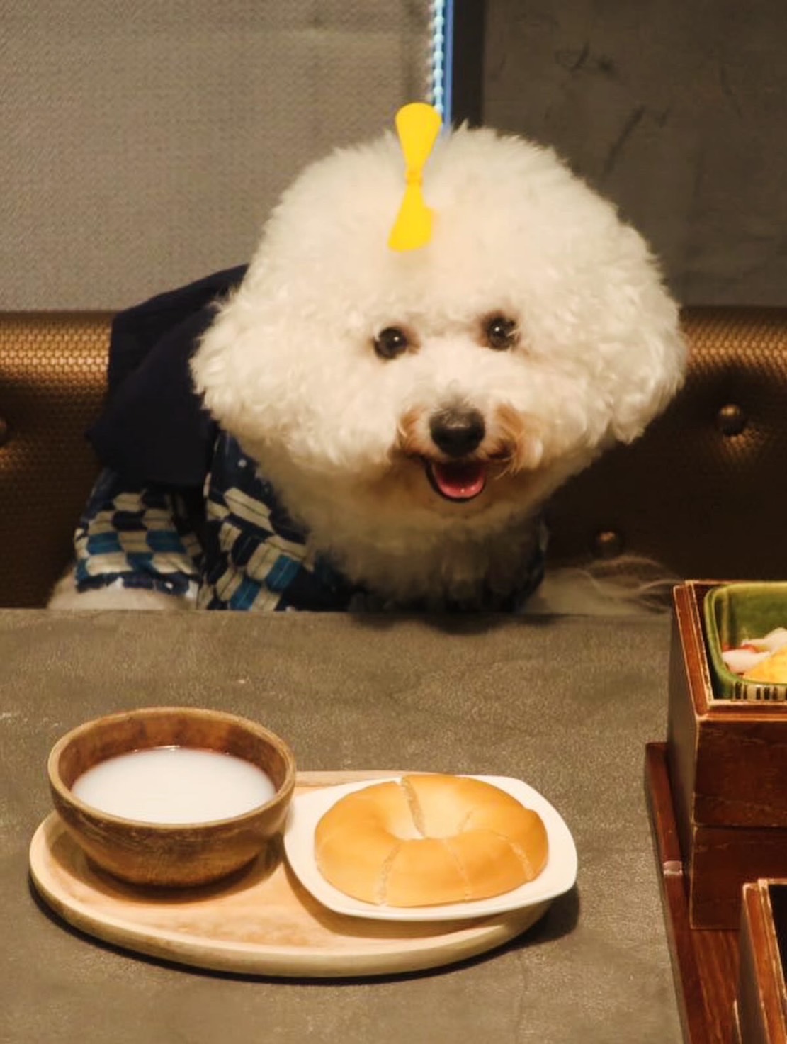 【ご宿泊のお客さま・ほたてちゃん】