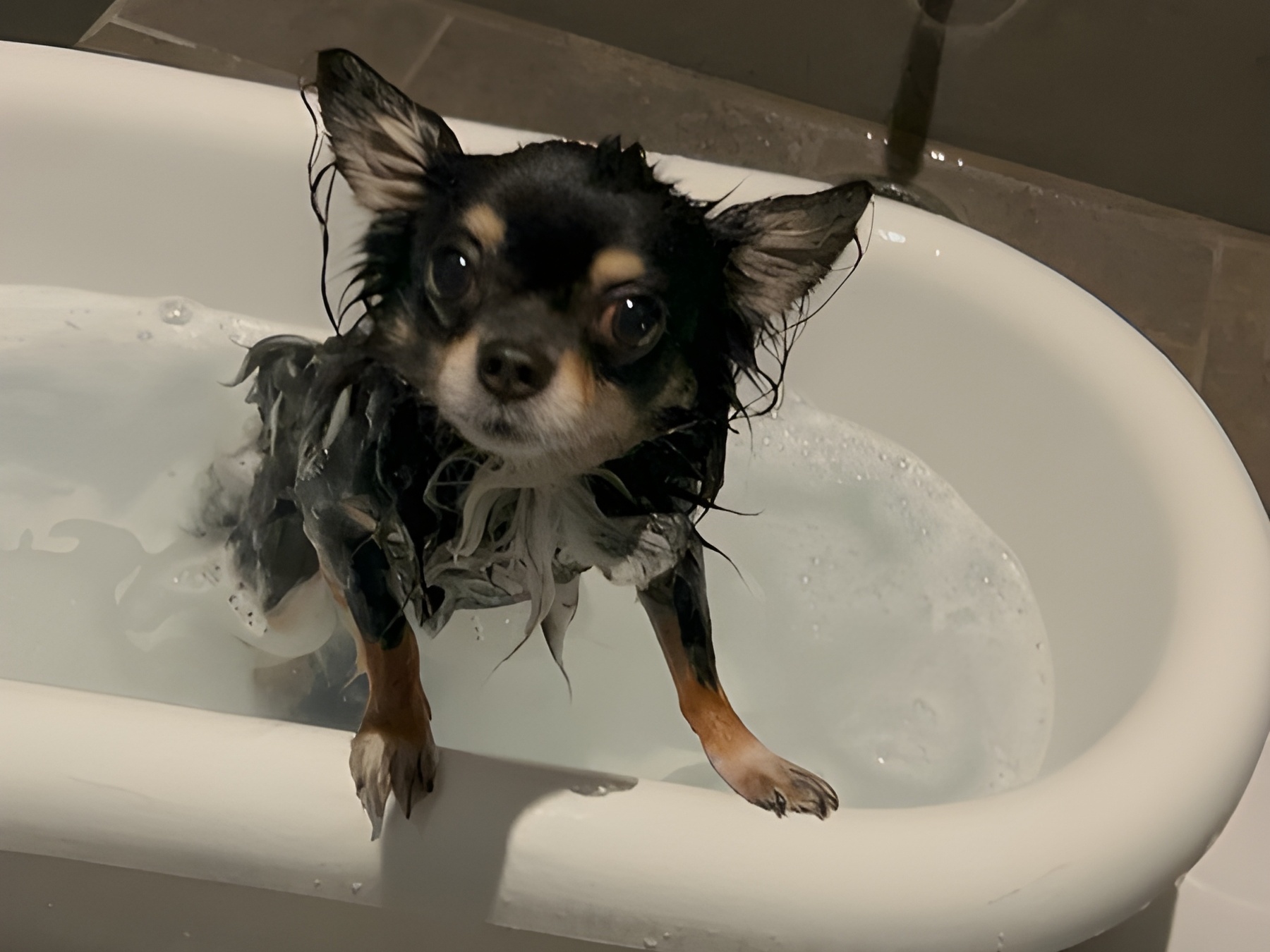 【ご宿泊のお客さま】小太郎ちゃん