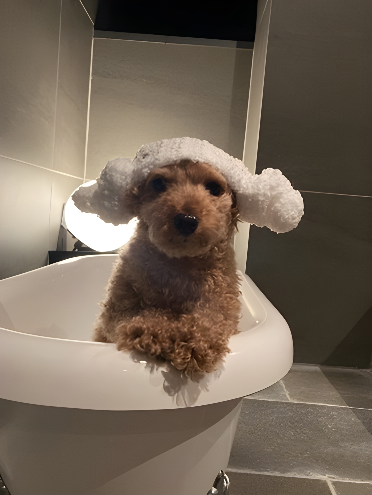 【ご宿泊のお客さま】ププちゃん