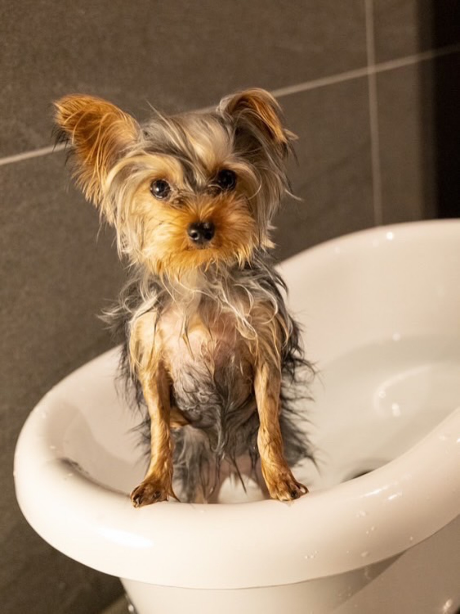 【ご宿泊のお客さま】芽衣(めい)ちゃん