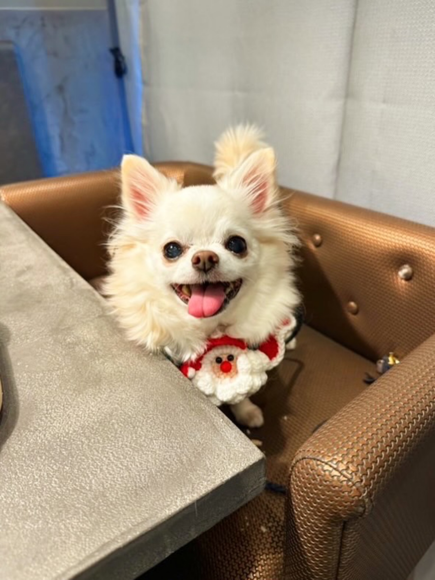 【ご宿泊のお客さま】ゆりあちゃん&凛ちゃん