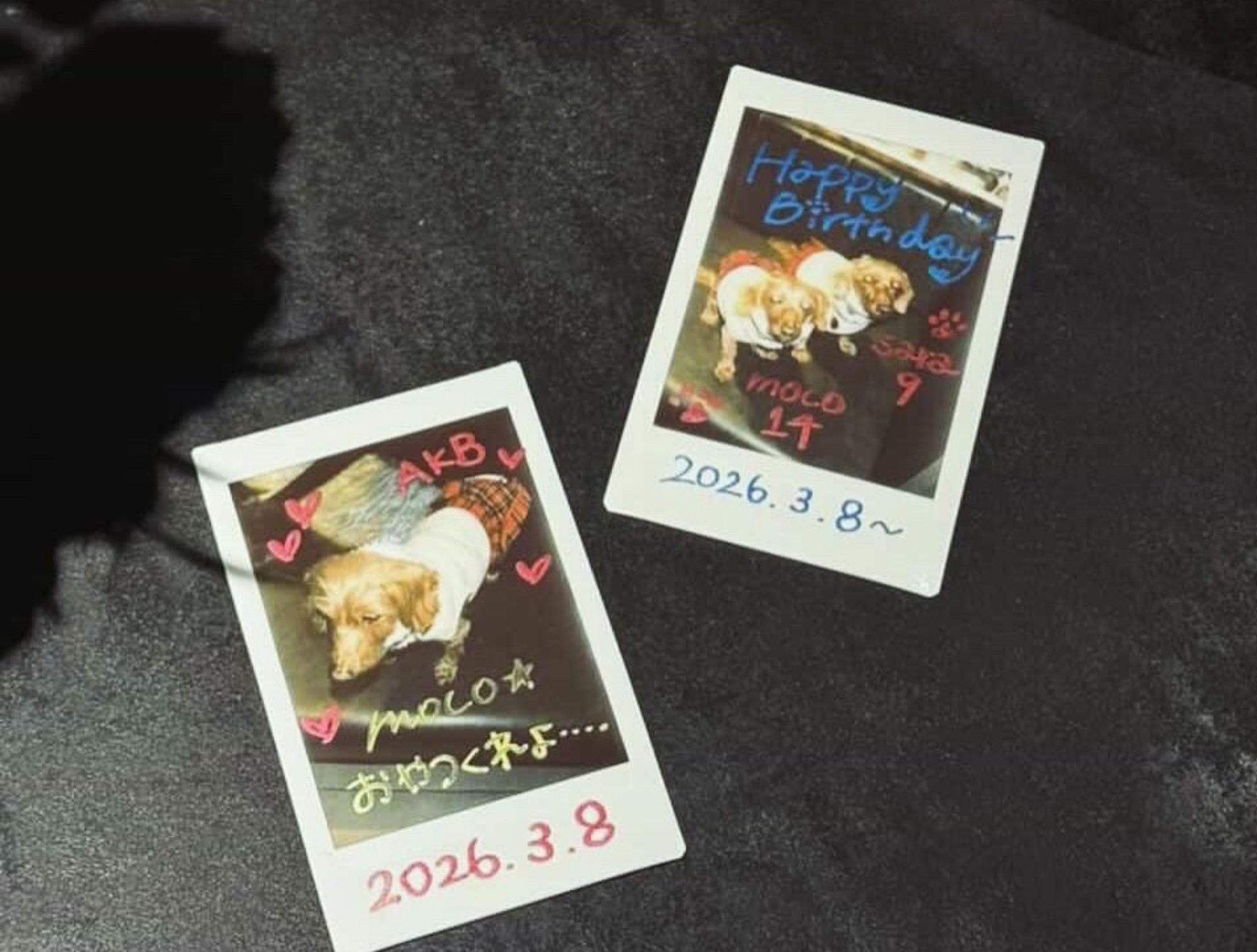 B１ラウンジではチェキをご用意しています。フォトアルバムに貼って思い出をシェアして下さいね！