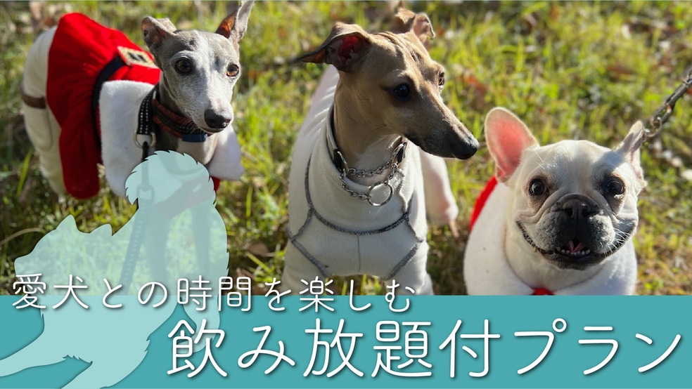 【さき楽45】＜30％OFF＞飲み放題付！カニ＆中華＆しゃぶしゃぶビュッフェ　写真映え×楽しさ満載♪