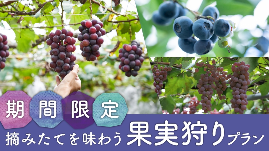 【期間限定】ここだけの旬の味覚を楽しむ！みなかみ果実狩り体験プラン♪＜2食付＞