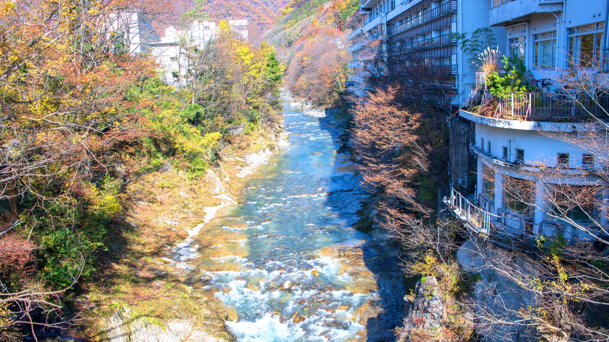 紅葉に彩られた利根川。清流と秋の色彩が織りなす贅沢な景観です。