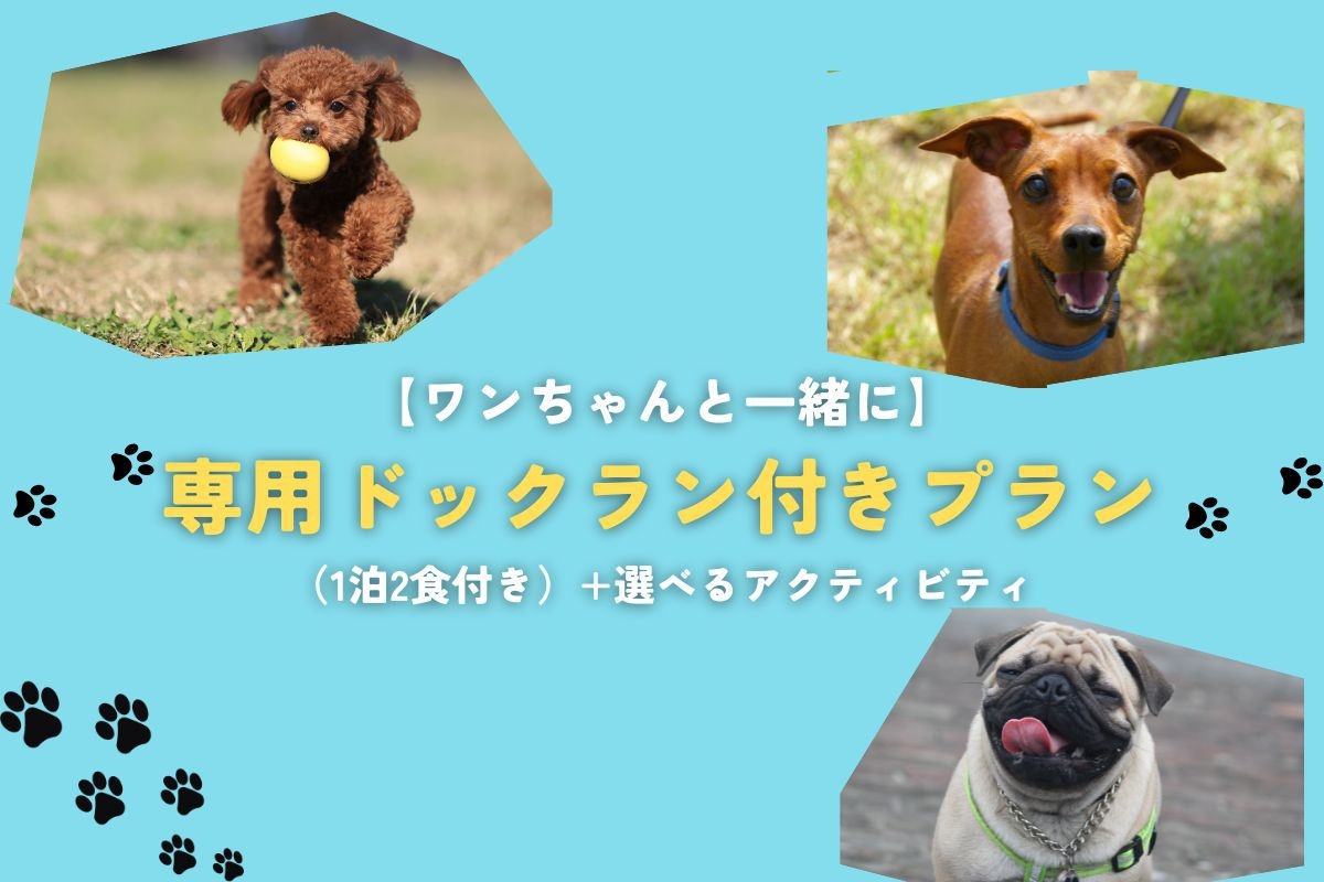 【ワンちゃん】専用ドックラン付きプラン（一泊2食付き）