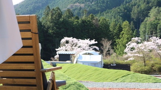 春はエリア内に桜が咲きます。